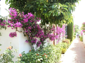 Villacana 2724
