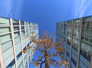 Central MK Apartments