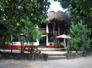 Jolie Jungle