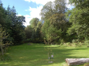 Woodland Pine Lodge