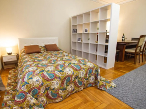 Spacious 2 Room Apart In A Historic Laisves Avenue