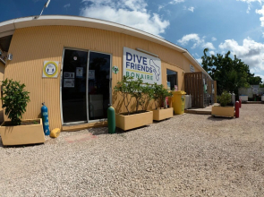 Sand Dollar Bonaire