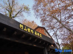 Xingshan Wonderland · In the Forest
