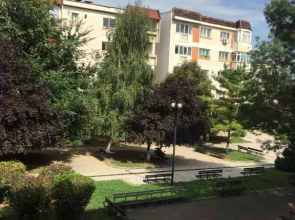 Cozy Park Studio in city center, Campina