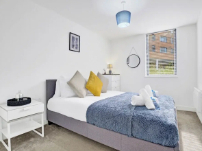 Cosy Birmingham Apartment - Madison House