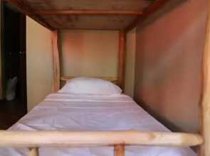 Golden Frog Hostel