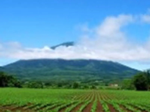 The Setsumon Apartments