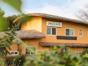 Daebudo Banditbul Pension