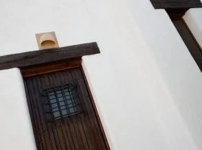 Albaricoques Rural