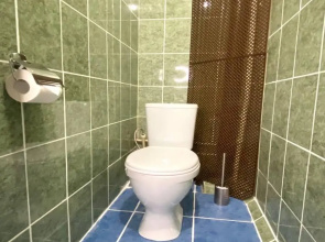 Domasnij ocag na ulice Artema 108