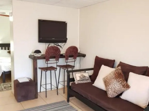 Cheetah Manor #3