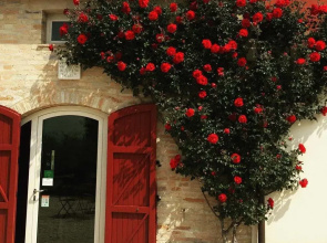 B&B Campodisole
