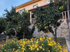 Quinta Cunha