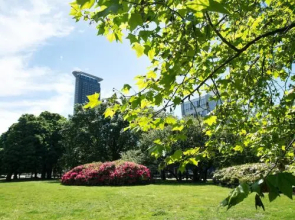 BizStay City Center Apartments