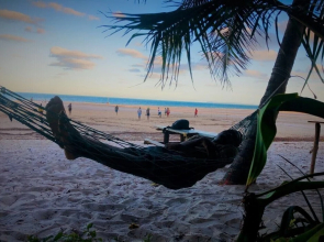 Bush Beach Backpackers