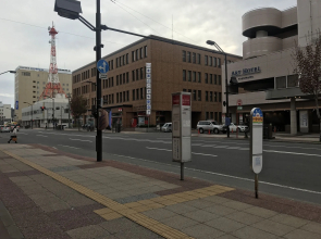 Asahikawa Toyo Hotel