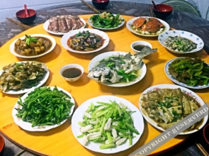 Putuoshan Wenxin Xiaoyuan