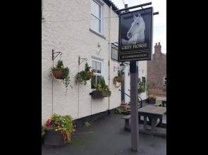 The Grey Horse