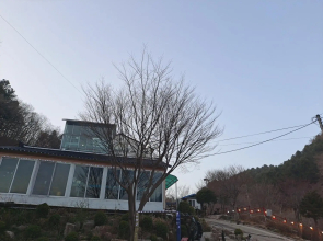 Hwacheon Apollo Cheonmoondae Pension