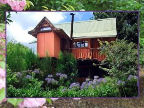 Sycamore Avenue Treehouses