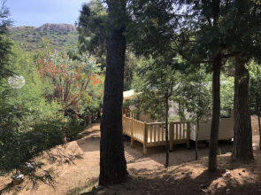 Camping Panoramic