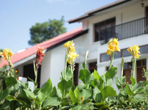 Boulevard Inn Mt Meru