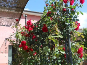Agriturismo Le Pellicce