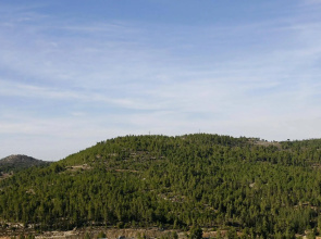 Ein Kerem Hotel