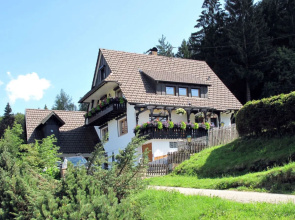 Tillisch (SWN100)