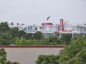 Hotel Shiv International