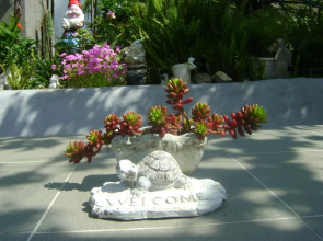 Guest House Marijana