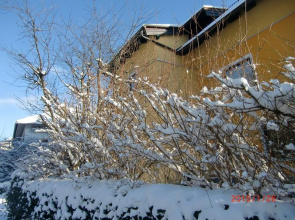 Appartement-Heuberg