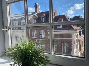SOUVENIRS VIEUX LILLE Apartment 2 Chambres 24H24H Access