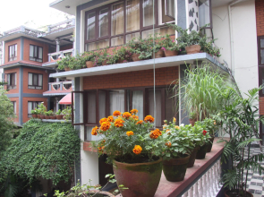 Bouddha Green Hotel
