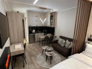 Cozy Downtown Apartment