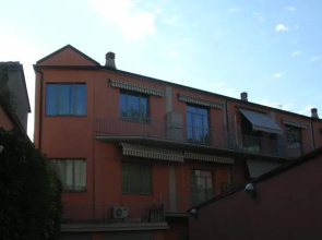 Rosa19