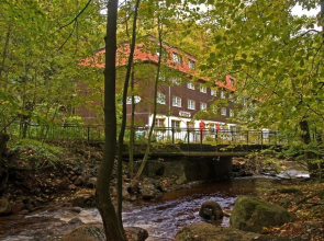 Waldhotel Am Ilsestein
