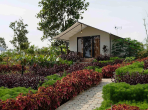 DBambooKamp Desa Wisata Ekang