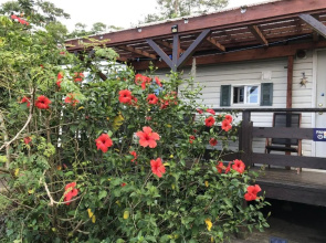 Kunigami-gun - Cottage / Vacation STAY 22642