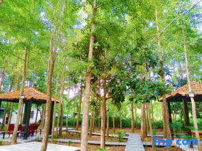 Xinyang Pingqiao Smile Inn