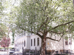 Silentio Schletterstrasse
