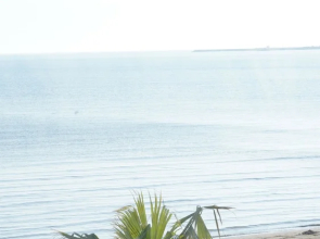 The Beachfront Apartment