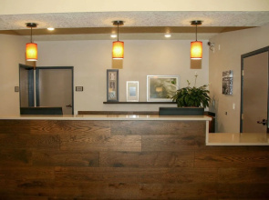 Stafford Inn