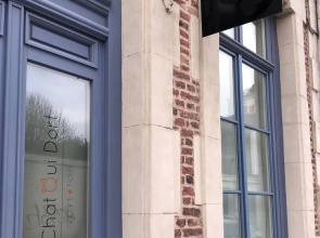 Au Chat Qui Dort Lille - Magasin