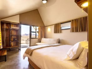 Desert Quiver Camp