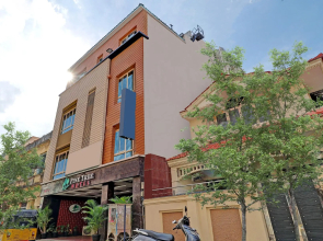 Hotel Pine Tree
