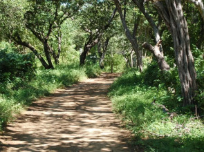 Hotel Cabinas La Playa