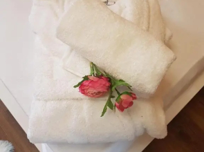 Вила Поликсения Петиня