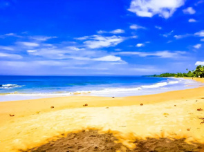 Paradise Ocean Homestay