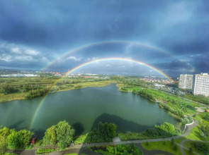 Апартаменты на улице Забалуева 88